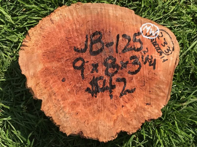 Jarrah Burl - JB125