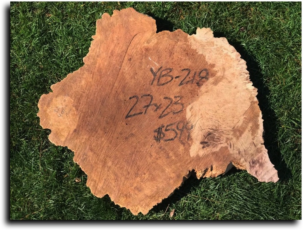 Large Burl Slabs