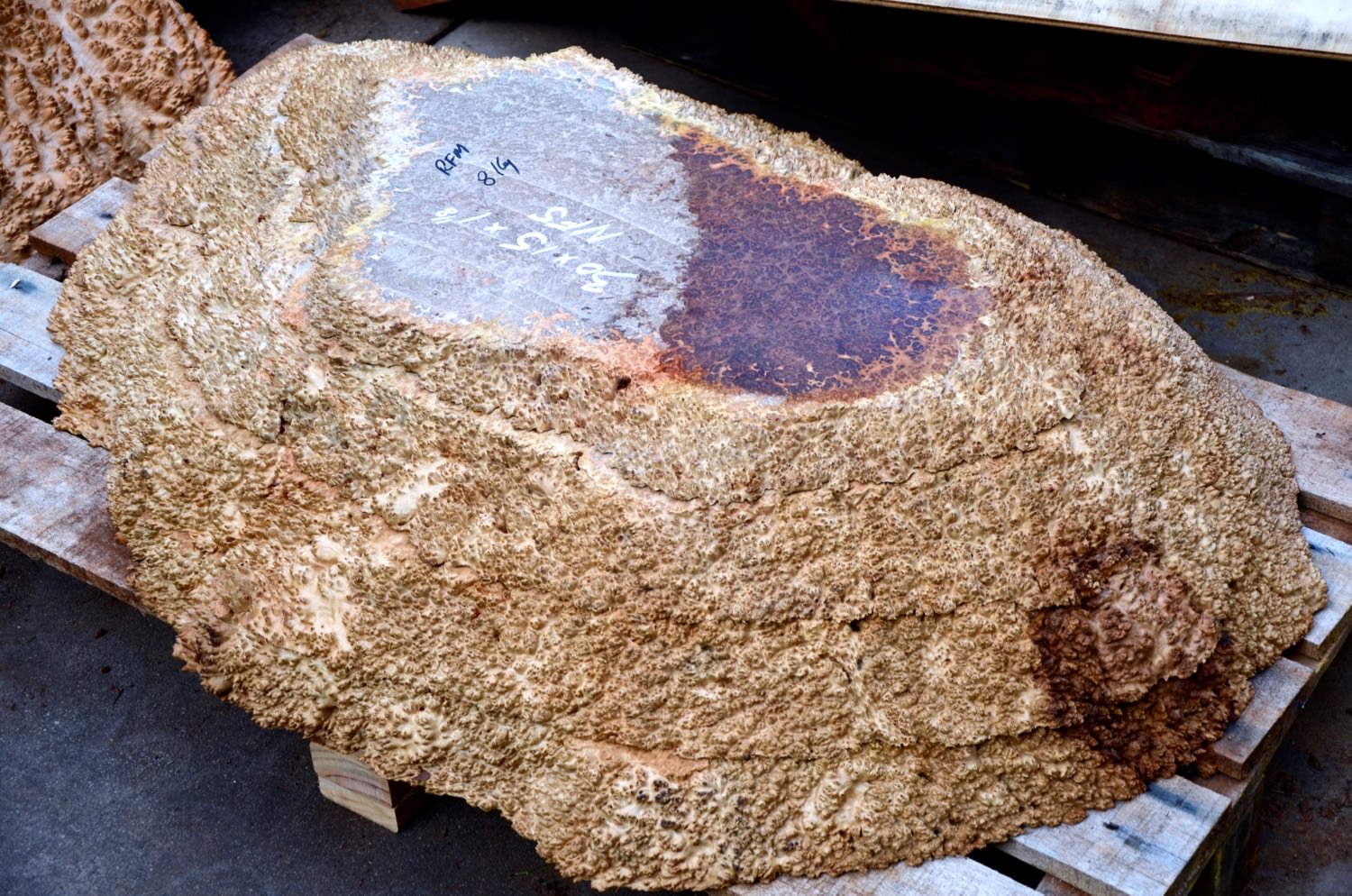 Burl Slabs