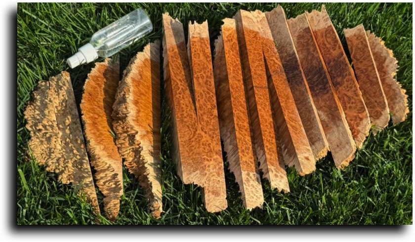 Stacks Image 9826