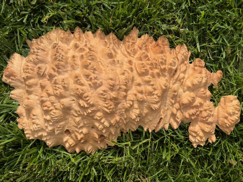 Stacks Image 14968